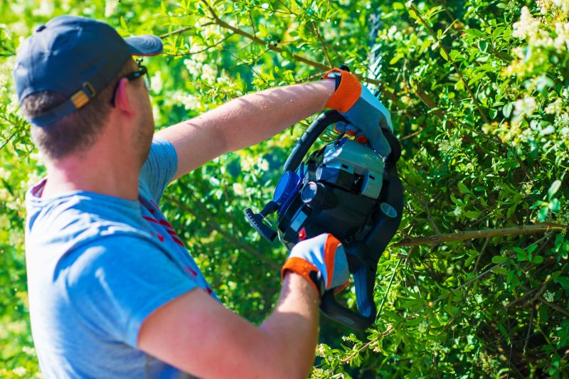 Shrub Trimming Service
