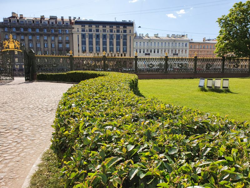 Lodi Neighborhood with Well-Maintained Shrubs